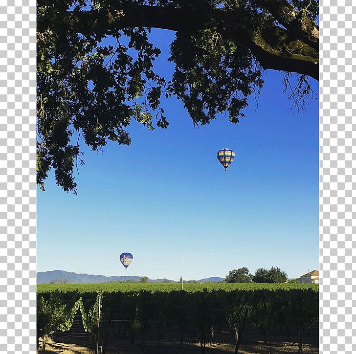 Mayacama Golf Club Sonoma County Wine Wine Country PNG, Clipart, Balloon, Biome, Daytime, Drink, Eating Free PNG Download