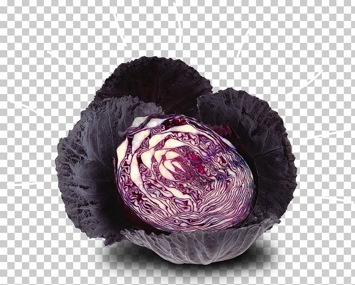Vegetable Stamppot Red Cabbage Juice Kool-Aid PNG, Clipart, Brassica Oleracea, Cabbage, Cooking, Egg, Food Free PNG Download