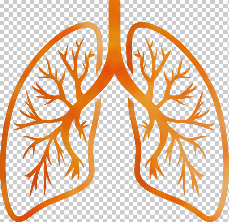 Orange PNG, Clipart, Corona Virus Disease, Covid, Leaf, Lungs, Orange Free PNG Download