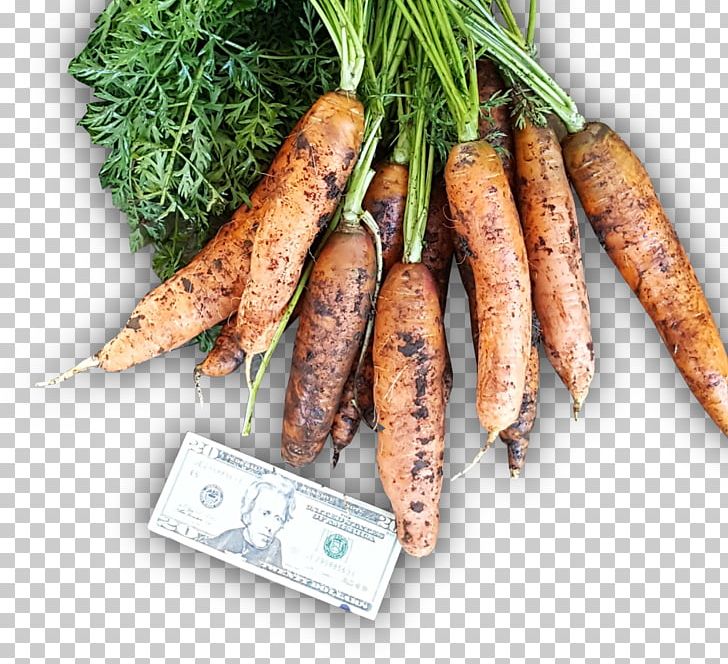 Animal Source Foods Vegetable Carrot PNG, Clipart, Animal Source Foods, Carrot, Food, Food Drinks, Recipe Free PNG Download