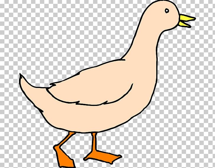 Duck Goose PNG, Clipart, Animals, Artwork, Beak, Bird, Computer Icons Free PNG Download