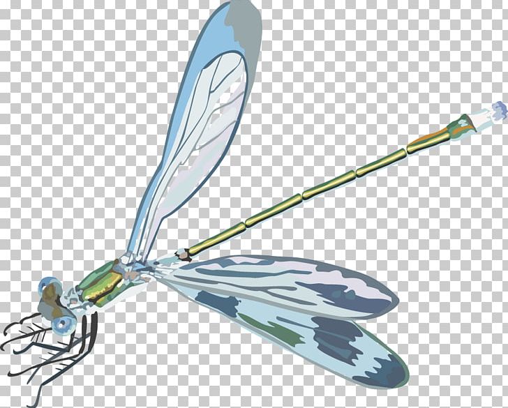 Insect Euclidean PNG, Clipart, Cartoon Dragonfly, Dragonflies, Dragonflies Clip Art, Dragonfly, Dragonfly Vector Free PNG Download