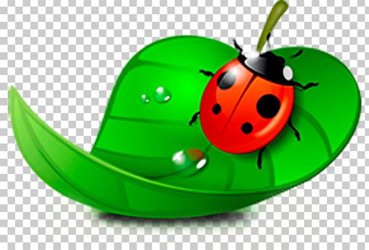 Ladybird Drawing Blog PNG, Clipart, Art, Arthropod, Beetle, Cute Ladybug, Drawing Free PNG Download