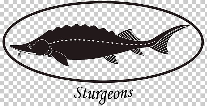 Logo Fauna Illustrator PNG, Clipart, Black And White, Caviar, Encapsulated Postscript, Fauna, Fish Free PNG Download