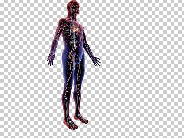 Primary Pulmonary Hypertension Paroxysmal Nocturnal Hemoglobinuria Symptom PNG, Clipart, Action Figure, Blood, Costume, Costume Design, Deep Vein Thrombosis Free PNG Download
