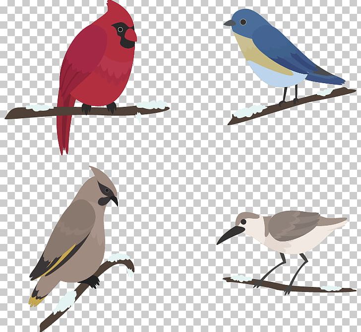 Bird Euclidean Snow PNG, Clipart, Adobe Illustrator, Animals, Beak, Bird, Bird Cage Free PNG Download