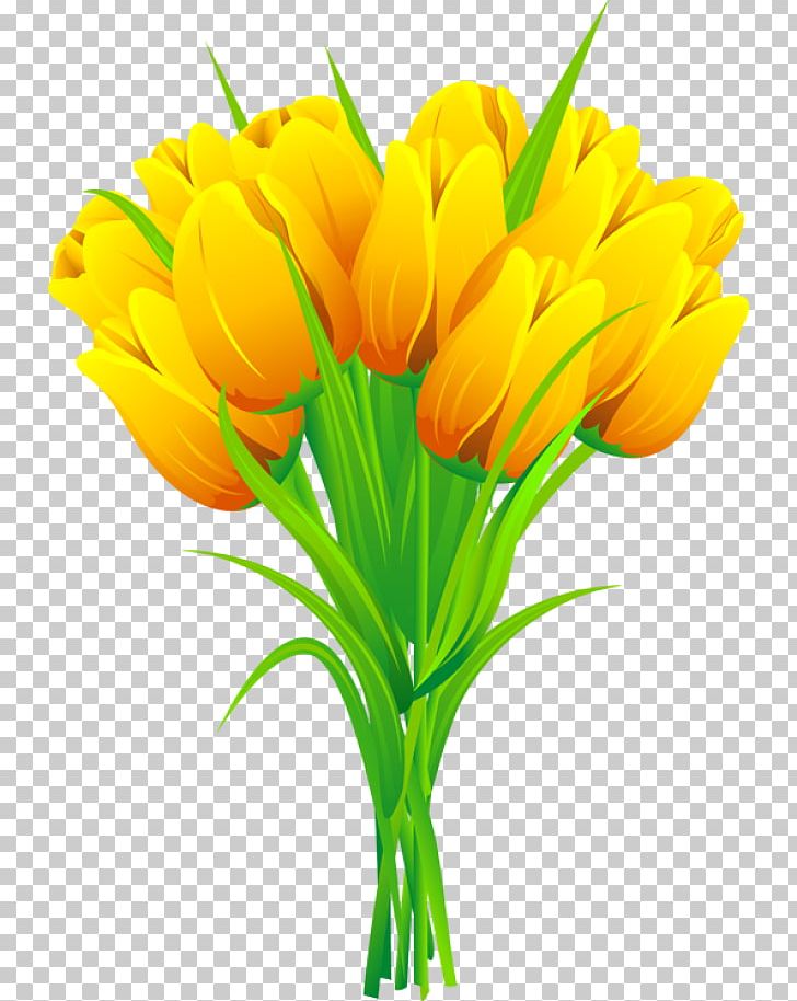 Flower Bouquet Tulip PNG, Clipart, Crocus, Cut Flowers, Encapsulated Postscript, Floral Design, Floristry Free PNG Download