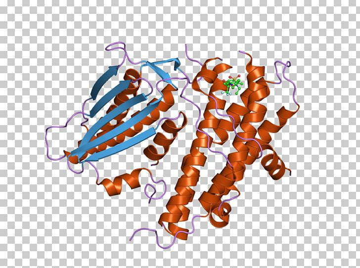 PDK2 Pyruvate Dehydrogenase Kinase Isozyme Art PNG, Clipart, Art, Dehydrogenase, Enzyme, European Bioinformatics Institute, Food Free PNG Download