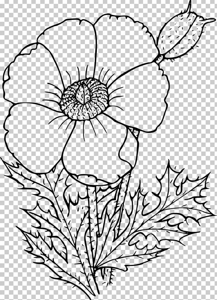 California Poppy Drawing Wildflower PNG, Clipart, Argemone, Argemone Albiflora, Artwork, Black And White, Botani Free PNG Download