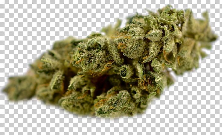 Cannabis Cup Drug Medical Cannabis Kush PNG, Clipart, Cannabis, Cannabis Cup, Cannabis Sativa, Cannabis Shop, Dispensary Free PNG Download