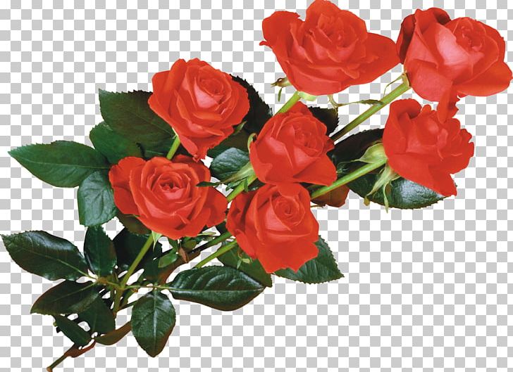 Flower Message Love Physical Intimacy Friendship PNG, Clipart, Artificial Flower, Bouquet, China Rose, Cut Flower, Floribunda Free PNG Download