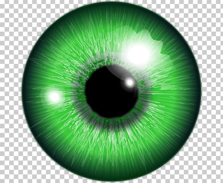 Human Eye Green Iris Color PNG, Clipart, Circle, Closeup, Color, Computer Icons, Computer Wallpaper Free PNG Download