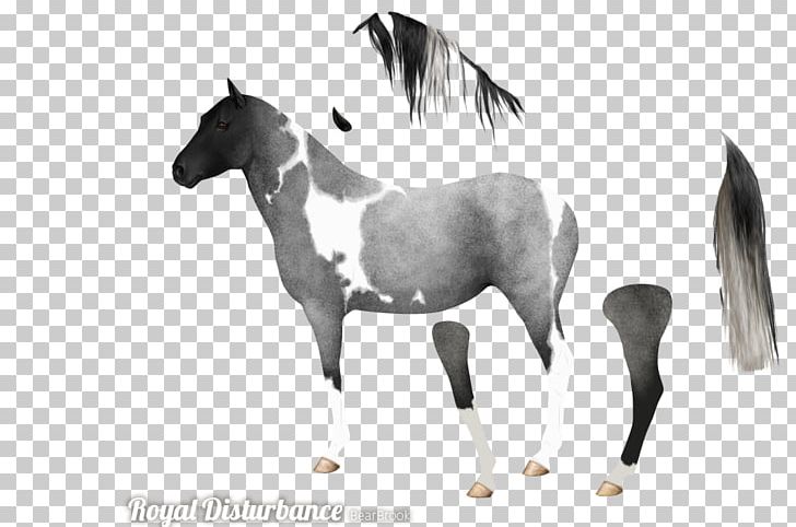 Mane Mustang Stallion Foal Mare PNG, Clipart, Animal Figure, Black And White, Bridle, Colt, Foal Free PNG Download