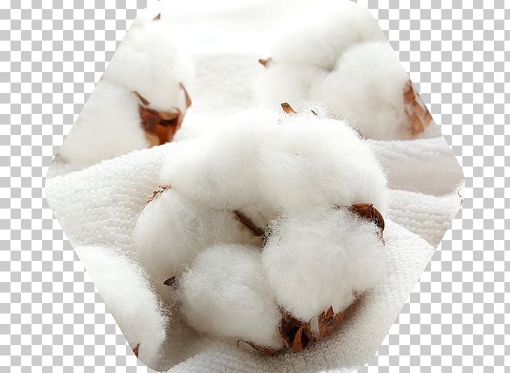 Towel Cotton Stock Photography PNG, Clipart, Cotton, Cotton Yarn, Fiber, Fur, Istock Free PNG Download