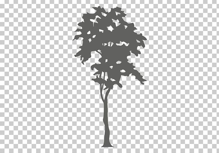 Tree Silhouette The Cardiologist's Daughter PNG, Clipart, Black And White, Branch, Cardiologists Daughter, Conifer, Encapsulated Postscript Free PNG Download