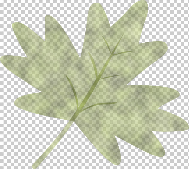 Maple Leaf PNG, Clipart, Flower, Leaf, Maple Leaf, Plane, Plant Free PNG Download