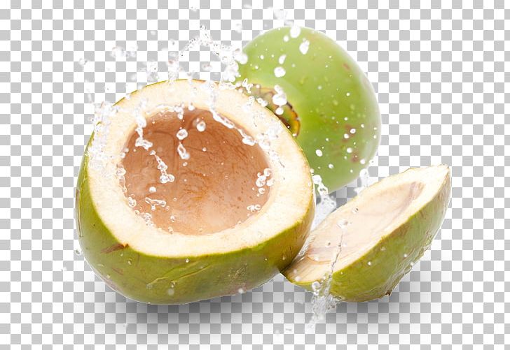Coconut Water Juice Gelatin Dessert PNG, Clipart, Citrus, Coco, Coconut, Coconut Water, Drink Free PNG Download