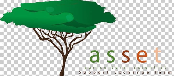 Logo Brand Tree Wattles PNG, Clipart, Asami, Asset, Award, Brand, Ensa Free PNG Download