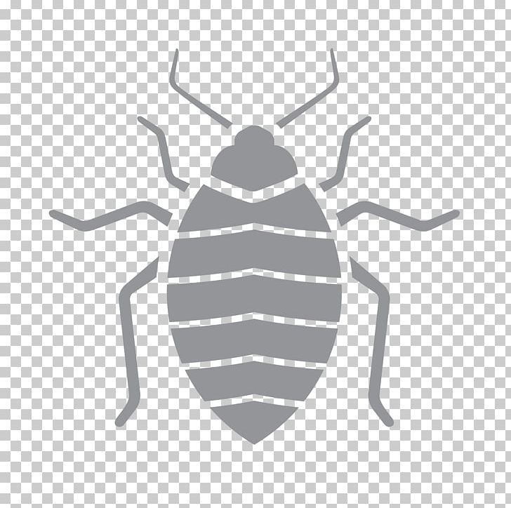 Pest Control Insect Exterminator Termite PNG, Clipart, 1st Pest Control, Arthropod, Bed, Bedbug, Bed Bug Free PNG Download