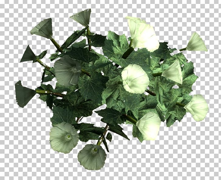 Sacred Datura Leaf Annual Plant Fallout 4 PNG, Clipart, Annual Plant, Datura, Daturas, Fallout, Fallout 4 Free PNG Download