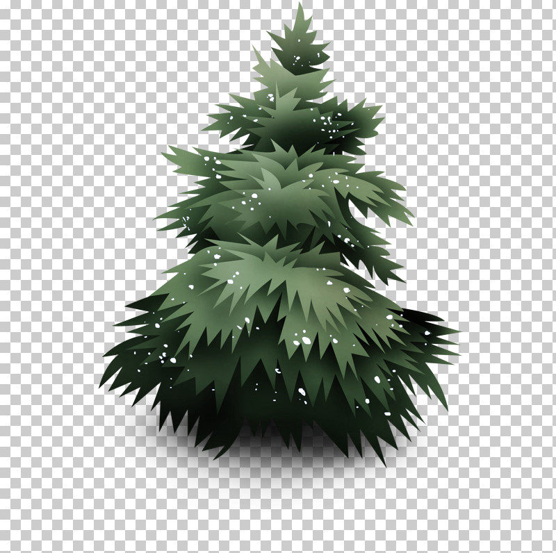 Christmas Tree PNG, Clipart, Christmas Tree, Colorado Spruce, Leaf, Oregon Pine, Pine Free PNG Download