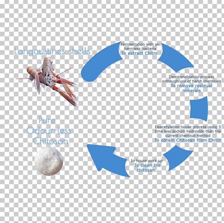 Circular Economy Chitin Chitosan Extraction Product PNG, Clipart, Chemical Substance, Chitin, Chitosan, Circular Economy, Diagram Free PNG Download