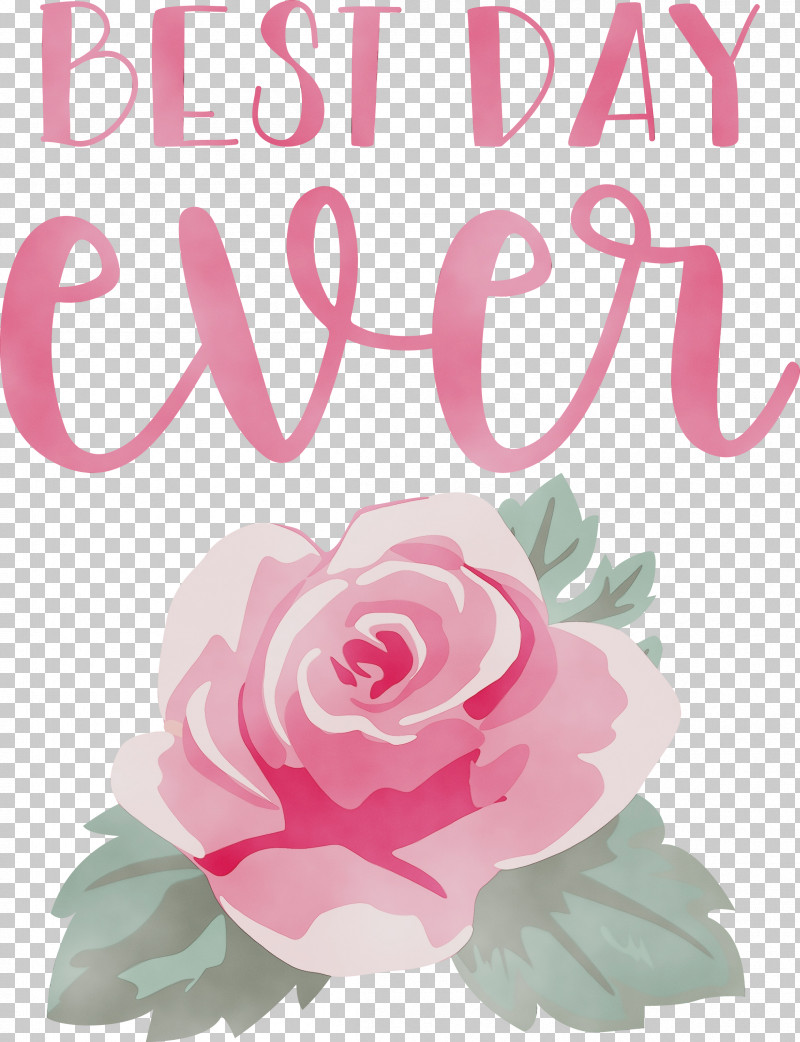Garden Roses PNG, Clipart, Best Day Ever, Floral Design, Flower, Garden Roses, Heart Free PNG Download