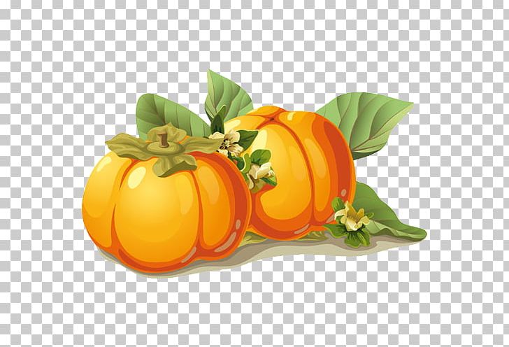 Persimmon Euclidean Fruit Frutti Di Bosco PNG, Clipart, Calabaza, Citrus, Cucurbita, Double, Food Free PNG Download