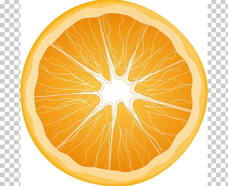 Citrus Xd7 Sinensis Orange Slice Fruit PNG, Clipart, Carambola, Circle, Citric Acid, Citrus, Citrus Xd7 Sinensis Free PNG Download