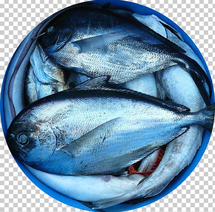 Fish Farming Seafood Marketplace PNG, Clipart, Animals, Animal Source Foods, Aquaculture, Bonito, Bony Fish Free PNG Download