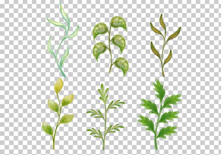 Flower Drawing Painting PNG, Clipart, Branch, Creative Market, Encapsulated Postscript, Flora, Flower Pattern Free PNG Download