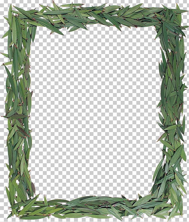 Frames PNG, Clipart, Depositfiles, Download, Flowerpot, Grass, Green Leaves Free PNG Download