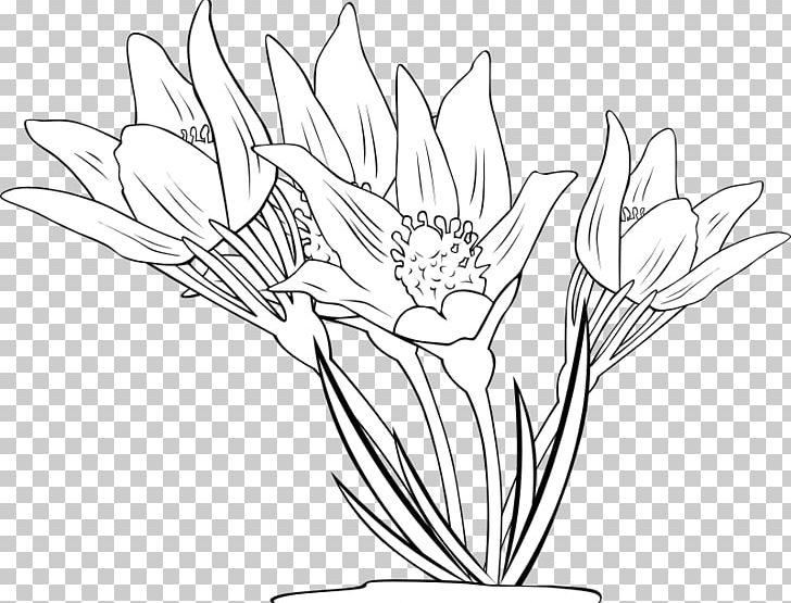 Flower Coloring Book PNG, Clipart, Anemone, Artwork, Black And White ...