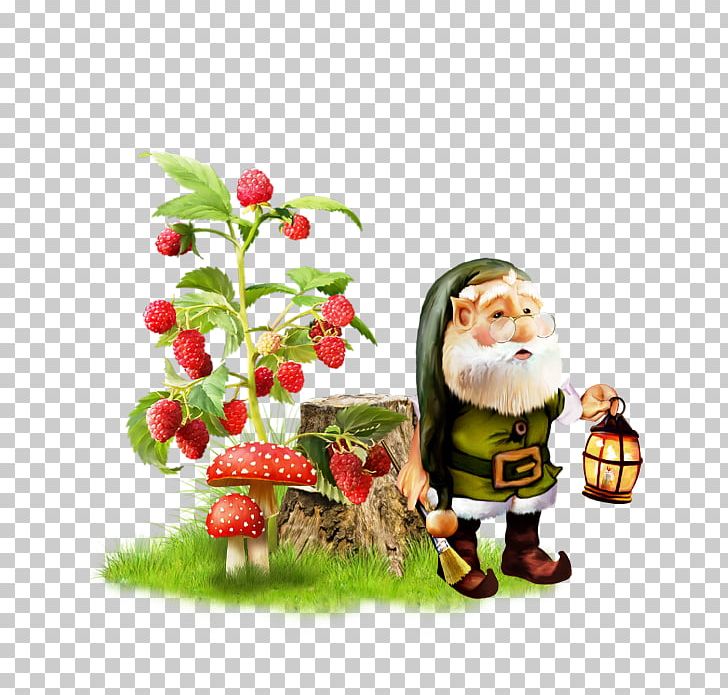 Red Raspberry Shrub Nursery Everbearing Raspberry PNG, Clipart, Berry, Christmas, Christmas Decoration, Currant, Fictional Character Free PNG Download