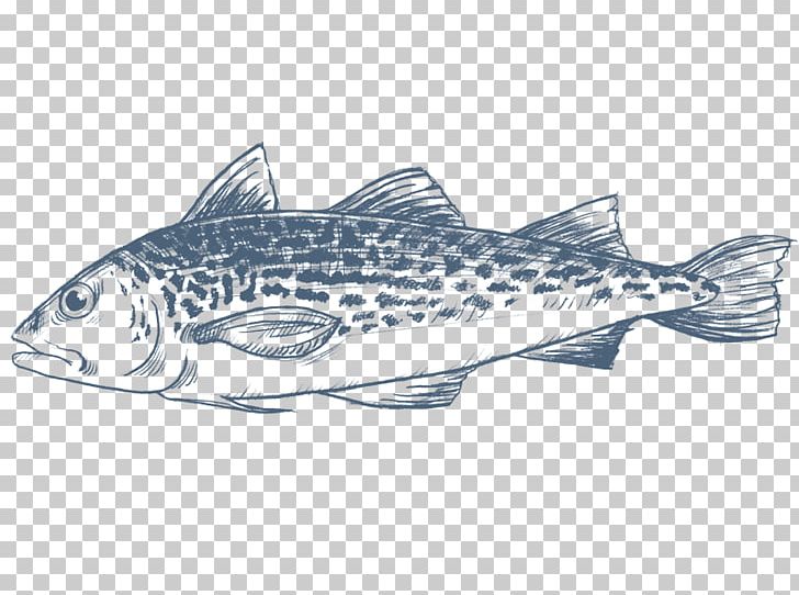 Sardine Salmon Cod Fish Products PNG, Clipart, Alaska Pollock, Animals, Bony Fish, Cod, Cod Fish Free PNG Download