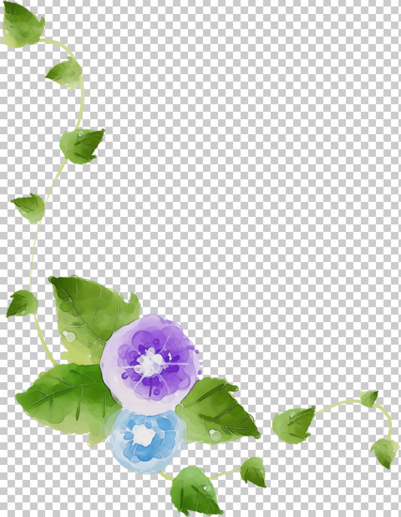 Violet Flower Purple Plant Petal PNG, Clipart, Bellflower, Flower, Leaf, Morning Glory, Morning Glory Family Free PNG Download