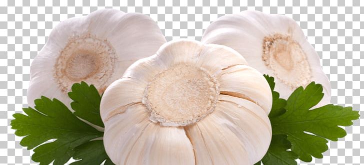 Garlic Stock Photography Food PNG, Clipart, Banco De Imagens, Bulb, Cut Flowers, Download, Flower Free PNG Download