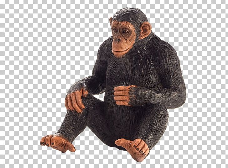 Common Chimpanzee Primate Monkey Gorilla Knuckle-walking PNG, Clipart, Animals, Ape, Chimpanzee, Common Chimpanzee, Fur Free PNG Download