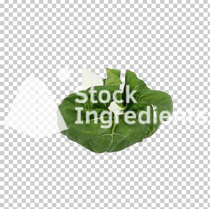 Leaf Vegetable Plastic Flowerpot PNG, Clipart, Bok Choy, Flowerpot, Food Drinks, Leaf, Leaf Vegetable Free PNG Download