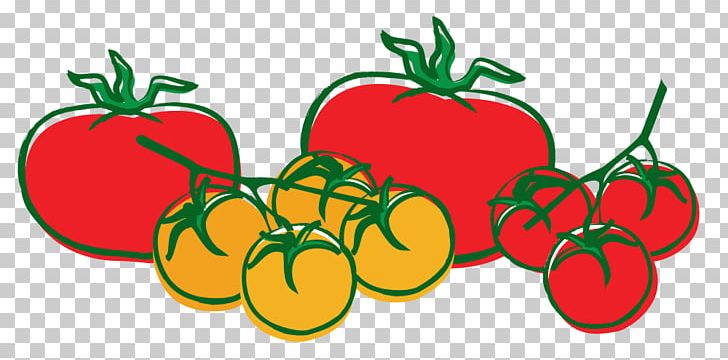 Tomato Jalapexf1o Salsa Chili Pepper PNG, Clipart, Apple, Capsicum, Capsicum Annuum, Chili Pepper, Diet Food Free PNG Download