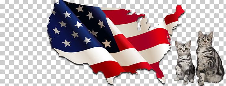 US Presidential Election 2016 United States Presidential Election PNG, Clipart, Donald Trump, Election, Electoral College, Flag, Flag Of The United States Free PNG Download