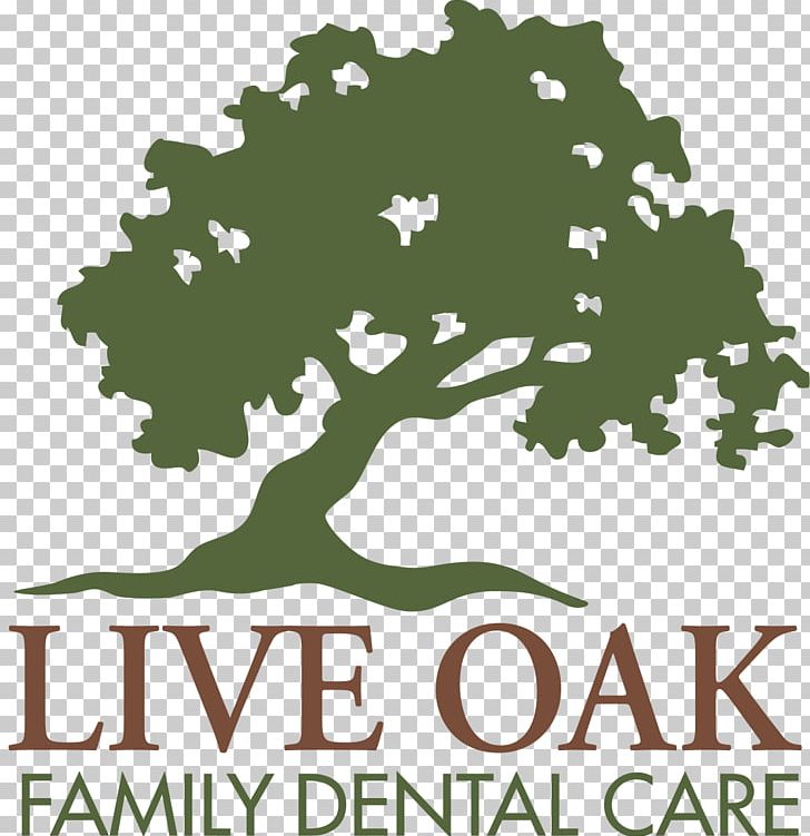 Dentistry Safety Syringe Patient Village Oaks Dental PNG, Clipart,  Free PNG Download