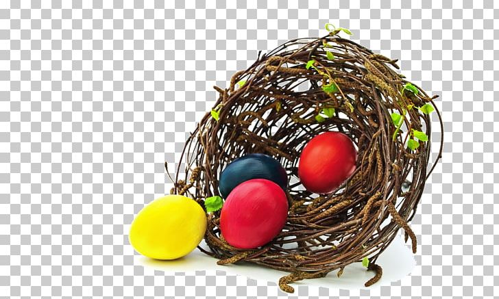 Edible Birds Nest Bird Nest Egg PNG, Clipart, Animals, Bird, Bird Nest, Birds Nest, Branches Free PNG Download