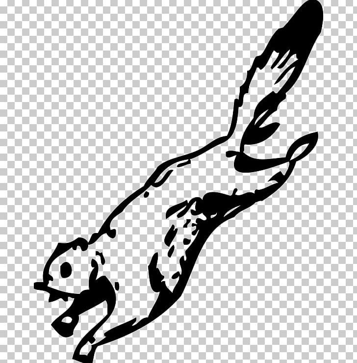 Flying Squirrel Coloring Book Sandy Cheeks PNG, Clipart, Amp, Animal, Animals, Bird, Black Free PNG Download