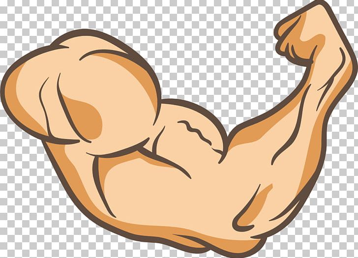 Arms Thumb Muscle PNG, Clipart, Anatomy, Arm, Arm Architecture, Carnivoran, Cartoon Free PNG Download