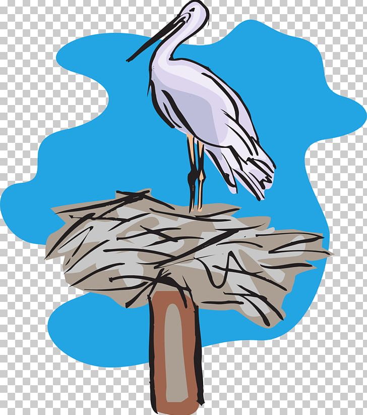 Bird Nest Pelican PNG, Clipart, Animals, Animation, Artwork, Beak, Bird Free PNG Download