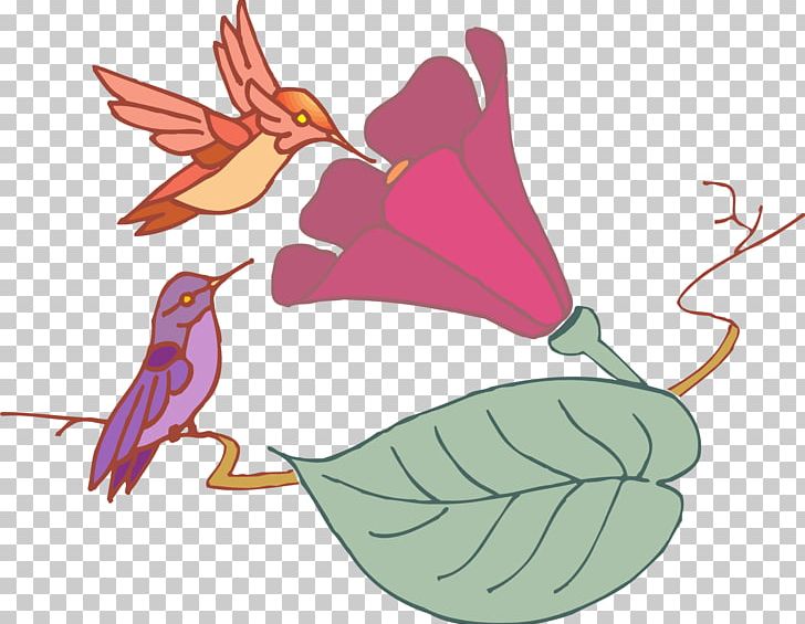 Hummingbird Flower White-tailed Hillstar PNG, Clipart, Animals, Art, Artwork, Beak, Bird Free PNG Download