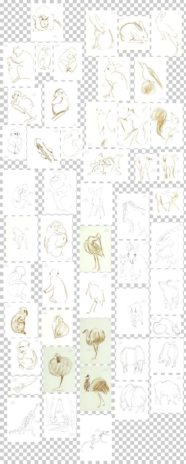 Paper Drawing /m/02csf Line Font PNG, Clipart, Animal, Art, Beige, Drawing, Line Free PNG Download