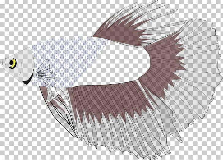 Siamese Fighting Fish PNG, Clipart, Animal, Animals, Beak, Betta, Bird Free PNG Download