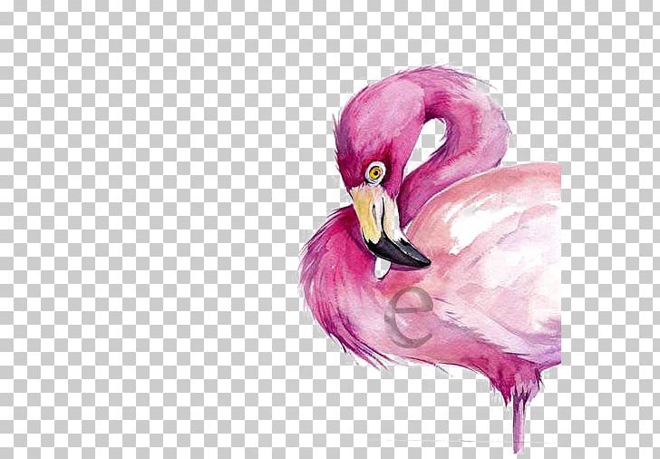 Watercolor Painting Flamingo Drawing PNG, Clipart, Animals, Art, Beak, Bird, Cartoon Free PNG Download
